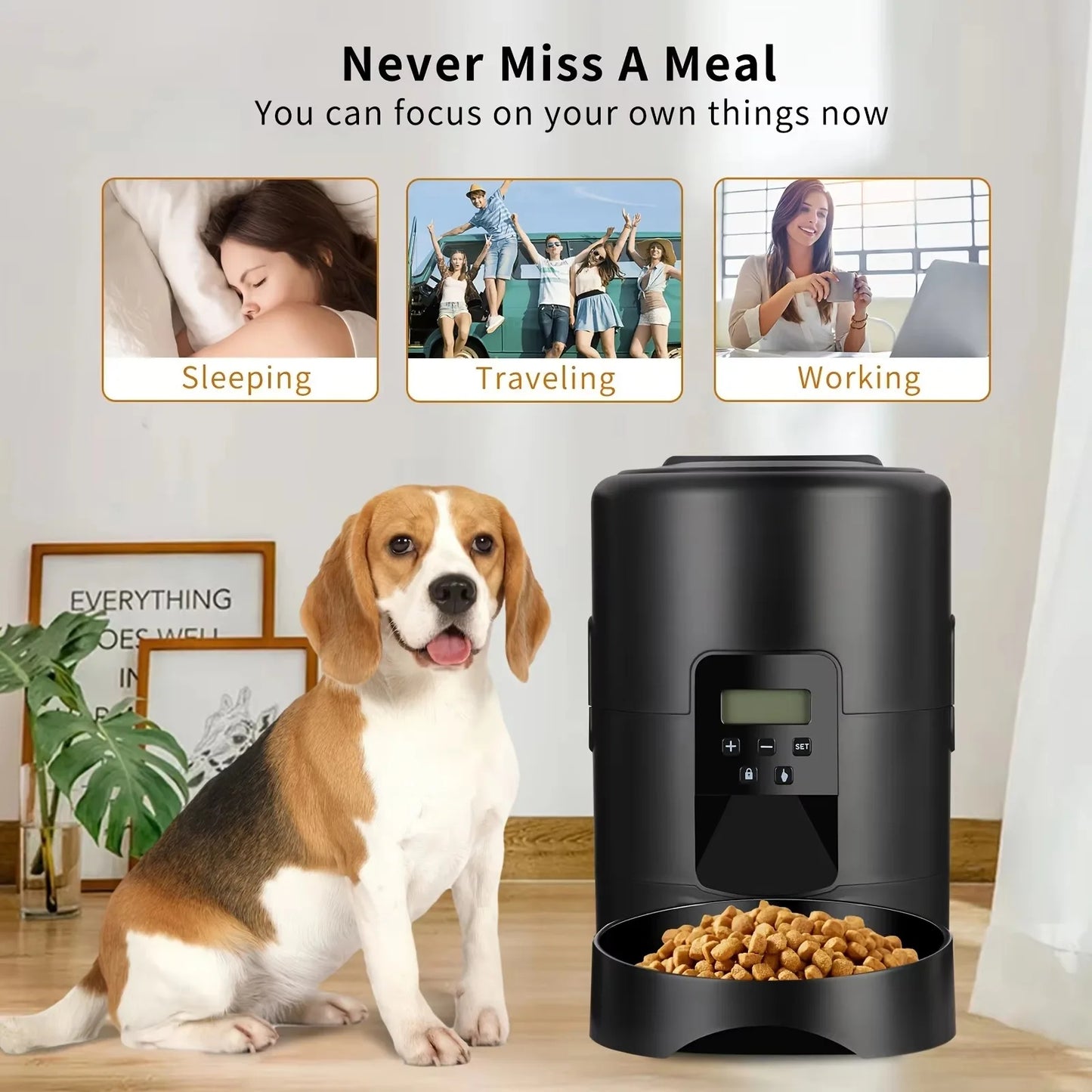 Smart Pet Feeder (2L) – WiFi + Button Control | Free Pet Brush Gift Inside 🎁 Free Delivery